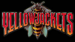 Yellowjackets